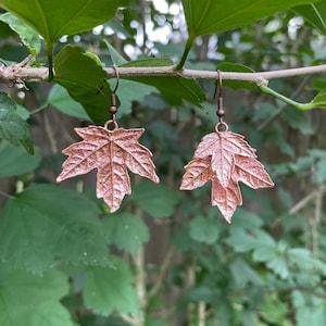 Pode incluir: Um par de brincos de folha de bordo em ouro rosa com um design delicado. Os brincos estão pendurados em um galho.