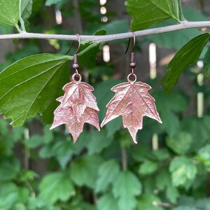May include: A pair of copper-colored earrings shaped like maple leaves. The leaves have a pink iridescent finish.
