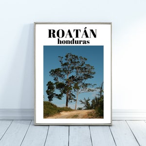 Tree in Roatan, Honduras--Digital Poster Download