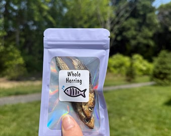 Hel sill - Eremitkräfta som söker föda - Hälsosamma snacks - Eremitkräftafoder
