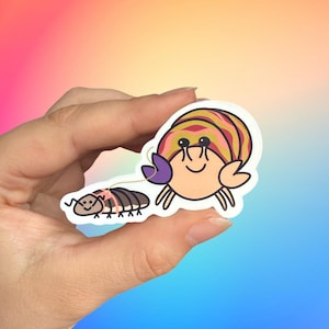 Pet Isopod - Hermit Crab Sticker  - Laminated Glossy Sticker - Water Resistant Vinyl Sticker - Laptop Decal- Bottle Sticker