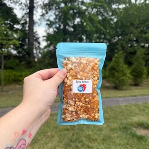 May include: A light blue resealable pouch containing orange-dusted popcorn. A white rectangular label on the front features the text Spicy Salmon and a graphic of a blue fish inside a red flame. The snack is visible through the clear plastic window.