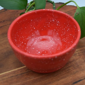 May include: A small, round, red ceramic bowl with white speckles. The bowl is set on a wooden surface, with green leaves in the background. This bowl is ideal for serving snacks or small portions.