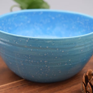 May include: A light blue ceramic bowl with a speckled design. The bowl has a wide, shallow shape and is placed on a wooden surface. The bowl is surrounded by pine cones and greenery.