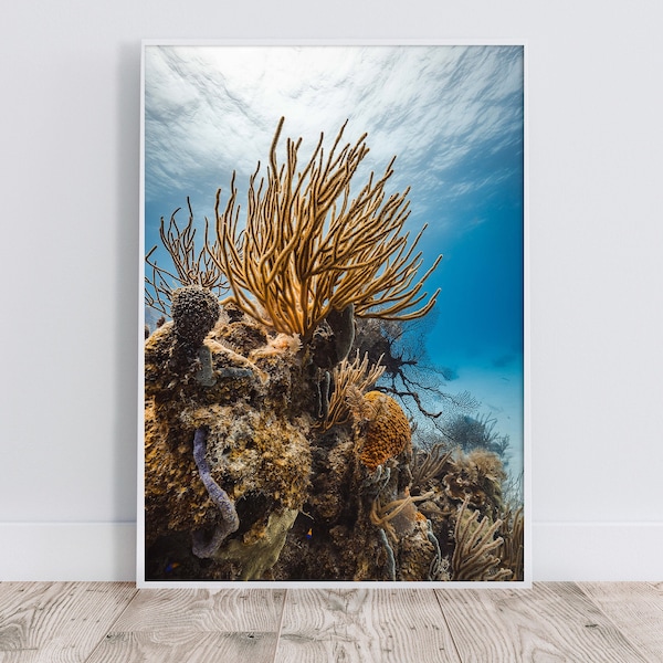 Underwater Digital Print | Coral Reef Prints | Ocean Prints | Photography Digital Download | Underwater Photo | Printable Wall Art