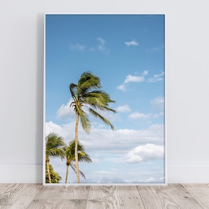 Palm Tree Print, Palm Tree Wall Art, Palm Tree Photo, Tropical Wall Art, Tropical Poster Print Digital, Palm Tree Digital Download