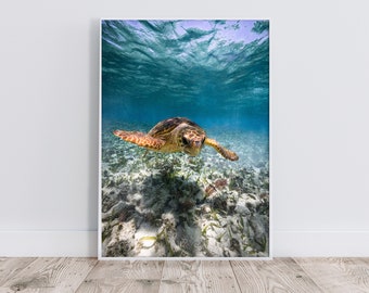 Sea Turtle Underwater Photography Print | Ocean Wall Art (Digital Download)