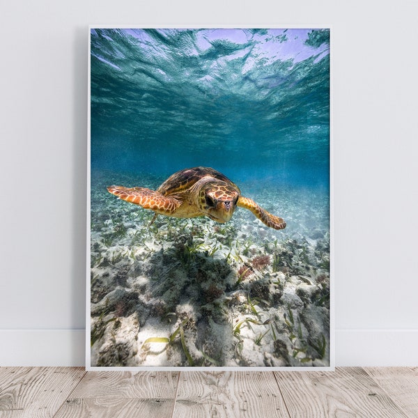 Sea Turtle Digital Print | Ocean Prints | Sea Animal Print | Photography Digital Download | Underwater Photo | Printable Wall Art