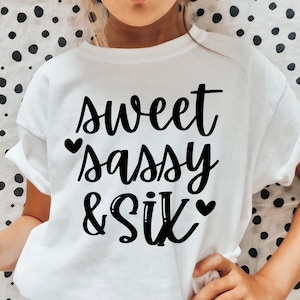 Sweet Sassy and Six SVG, 6e verjaardag Svg, zesde verjaardag Svg, 6e verjaardag meisje Svg, 6e verjaardag meisje Shirt Svg, verjaardag meisje Svg, PNG