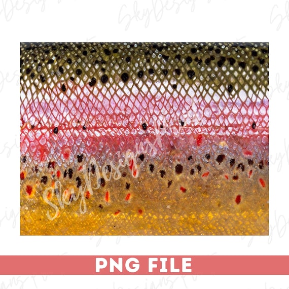 Pretty Fish Skin Patterns Trout Skin Patterns