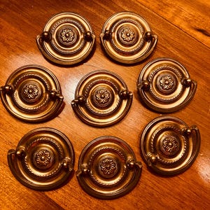 Set von 8 Vintage Bundes-Stil/Hepplewhite Messingringknäufe - Neoklassizistische Möbelbeschläge mit Blumenrosette - zurückgefordertes antikes Messing