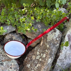 May include: A white enamel ladle with a red handle and rim, resting on a stone wall. The ladle's bowl is empty, and the handle curves upwards. Green plants and foliage surround the ladle and stone wall.