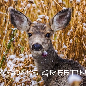 Holiday Deer Card Digital Download