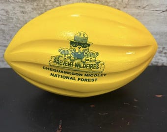 Smokey Mini Foam Football