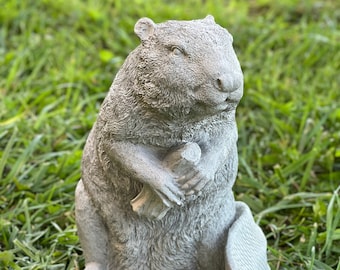 Concrete beaver real size figure Realistic water beaver statue Lake animal figurine Outdoor cement statue for garden