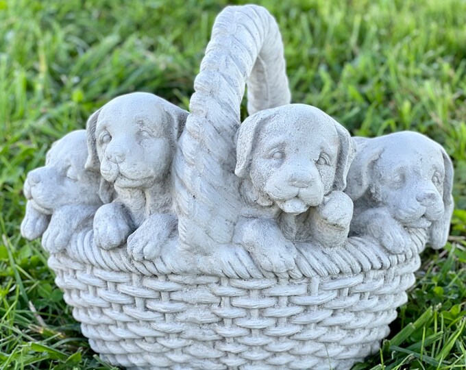 Meditating Dog Buddha Dog Buddhas Meditating Animal Zen Etsy