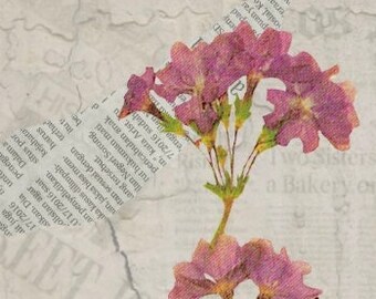 Printable Floral Wall Art Dried Flower Botanical Print Daguerreotype Printable Floral Wall Art Dried Flower Botanical Print Daguerreotype