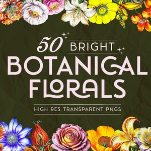 Bright Botanical Florals Pack, Botanical Flowers Bundle, See Through Floral Clipart, Vintage Flowers Bundle, 50 Botanical Florals PNGs Pack