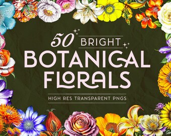 50 PNG floreali vintage brillanti: pacchetto di clipart botaniche (download digitale)