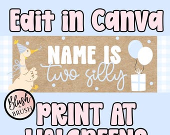 Two Silly Birthday Banner | 2x6 Digital Download