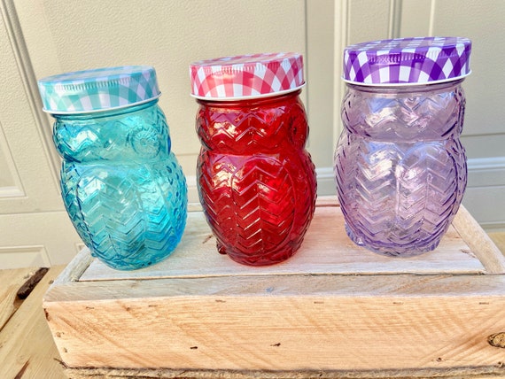 Set of 6 Owl Shaped Glass Mason Jars, Rainbow Colors, Drinking