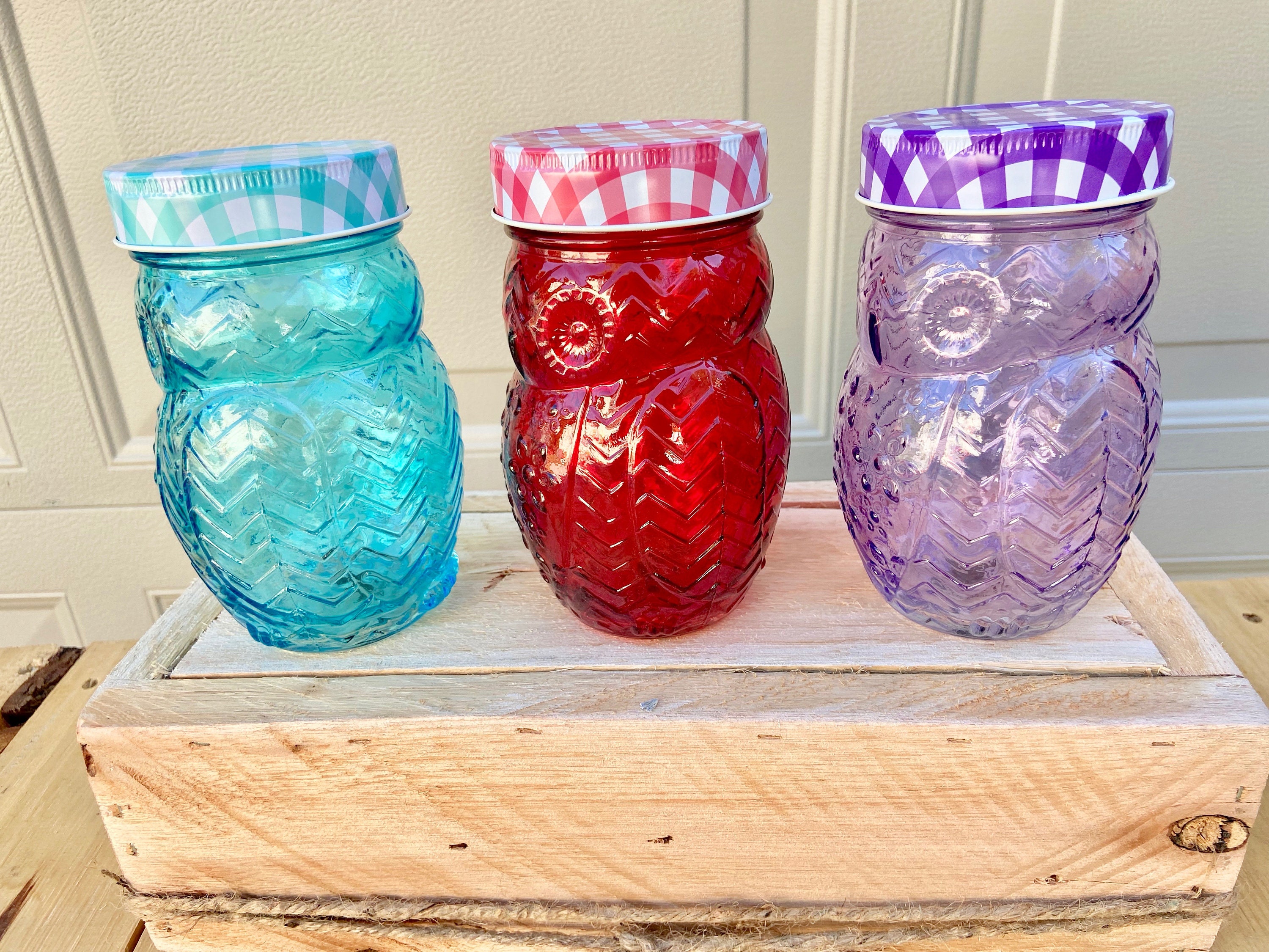 Set of 6 Owl Shaped Glass Mason Jars, Rainbow Colors, Drinking