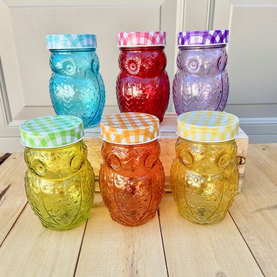 Set of 6 Owl Shaped Glass Mason Jars, Rainbow Colors, Drinking