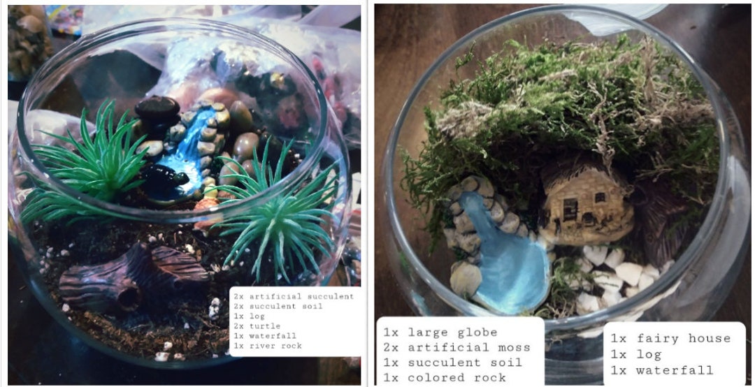 Custom Terrarium Kit, DIY, Kid Safe Read Description Etsy