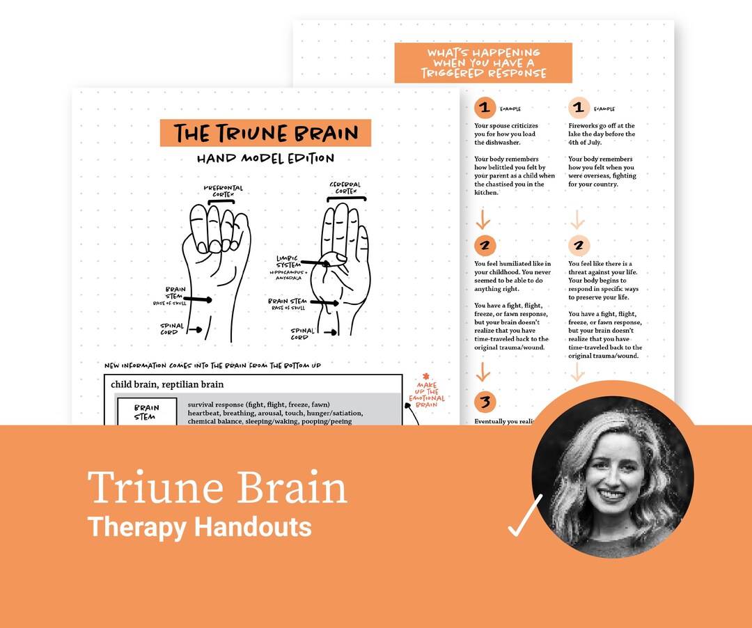 The Triune Brain Hand Model Edition Handout - Etsy