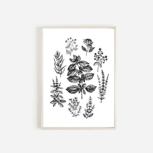 Herb and Spice Wall Art, Botanical Illustrations Digital, Printable Art, Herb Prints Wall Art, Wild Herbs Print, Kitchen Decor, Herb Collage