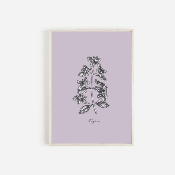 Botanical Illustrations Digital, Purple Herbs Printables, Herb and Spice Wall Art, Marjoram Kitchen Decor, Herb Prints Wall Art, Printables