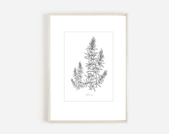 Kruiden keuken print, rozemarijn kruid downloaden, afdrukbare kunst, botanische print downloaden, kruiden en specerijen kunst aan de muur, kruiden printables