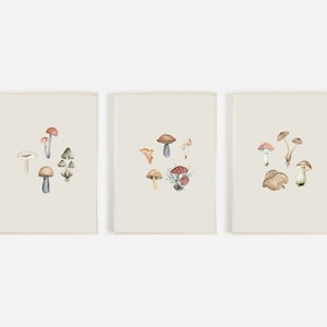 Mushroom Print Set of 3, Mushroom Wall Art Printable, Digital Download Mushroom Art, Set of 3 Mushroom Art, Mushroom Kitchen Art Prints