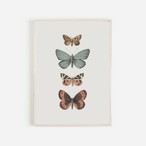 Vintage Butterfly Print Downloadable, Butterfly Wall Art, Printable Butterfly Decor, Butterfly  Girl Nursery Print, Instant Download