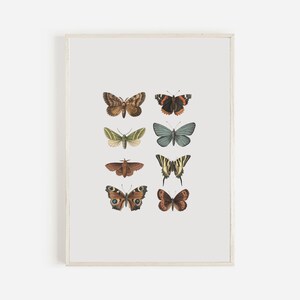 Vintage Butterfly Print, Digital Download, Printable Butterfly Wall Art, Butterfly Nursery Art, Instant Download, Butterfly Wall Decor