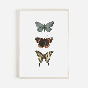 Butterfly Print, Instant Download, Butterfly Wall Art, Printable Home Decor, Butterfly Nursery Art, Digital Download, Butterfly Wall Decor