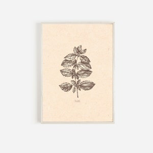 Medicinal Herbs Print, Instant Download, Nettles, Herb Prints Vintage, Botanical Print Download, Herb and Spice Wall Art, Downloadable Print