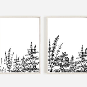 Wild Herbs Print, Instant Download, 2 Prints Set, Herbs Kitchen Art, Botanical Print Download, Herb and Spice Wall Art, Downloadable Prints