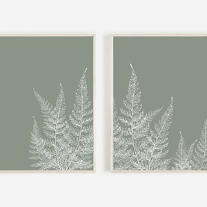 Impressão de samambaia verde, download digital, arte de parede com folhas de samambaia, decoração botânica para impressão, download instantâneo
