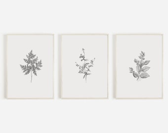 Vintage Botanical Print Set, Neutral Farmhouse Wall Art (Digital Download)