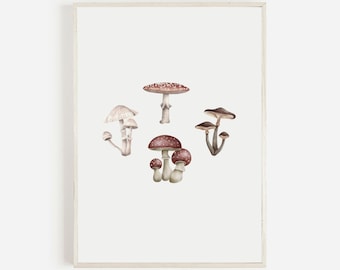 Lámina artística de hongos botánicos, decoración de cocina vintage (descarga digital)