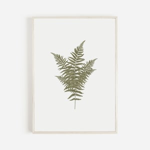 Fern Print Botanical Art, Downloadable Fern Art, Botanical Kitchen Art, Digital Download, Green Fern Art Print, Instant Download
