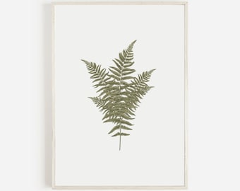 Fern Botanical Art Print, Green Leaf Illustration (Digital Download)
