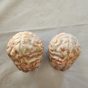 May include: Two white marble brain sculptures with red and brown veins. The sculptures are sitting on a white fabric surface.