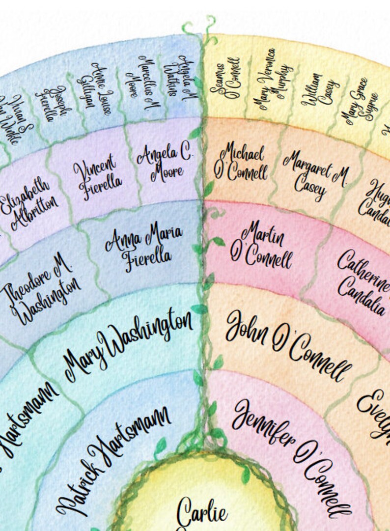 Watercolor Family Tree Fan Chart - Etsy