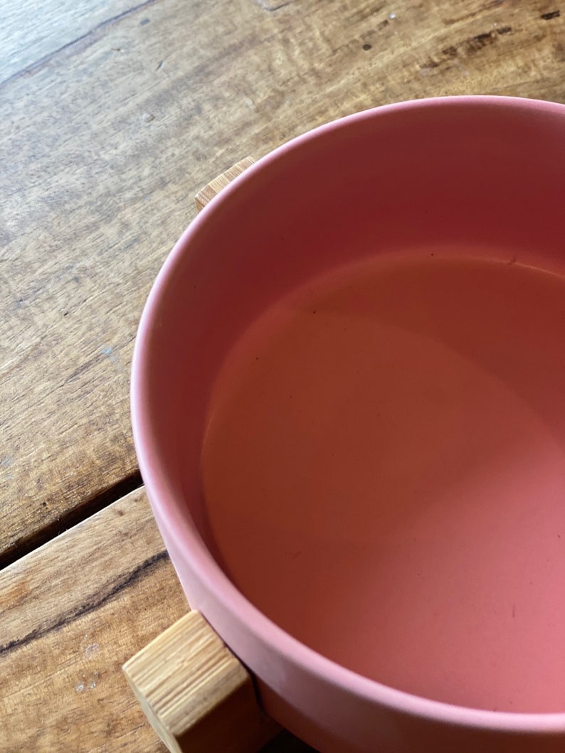 Matte Pink Modern Ceramic Dog Bowls on Wooden Stands Pink Dog Etsy