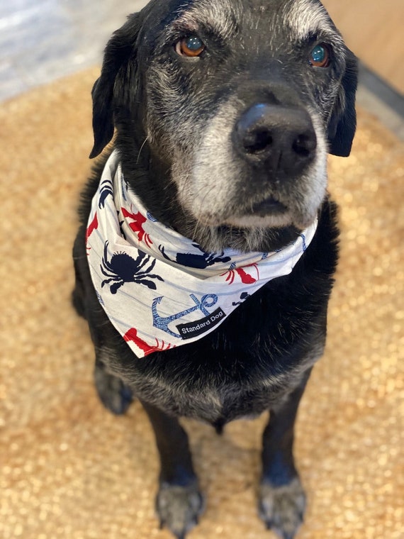 Ocean Themed Standard Dog Bandana Crab Dog Bandana Lobster Etsy