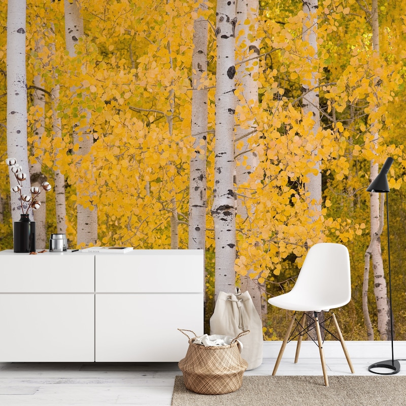 Aspen Decal - Etsy