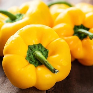 Organic Yellow Bell Pepper Seeds