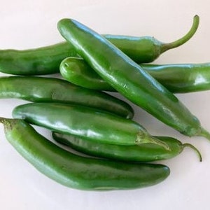 Organic Serrano Pepper Seeds